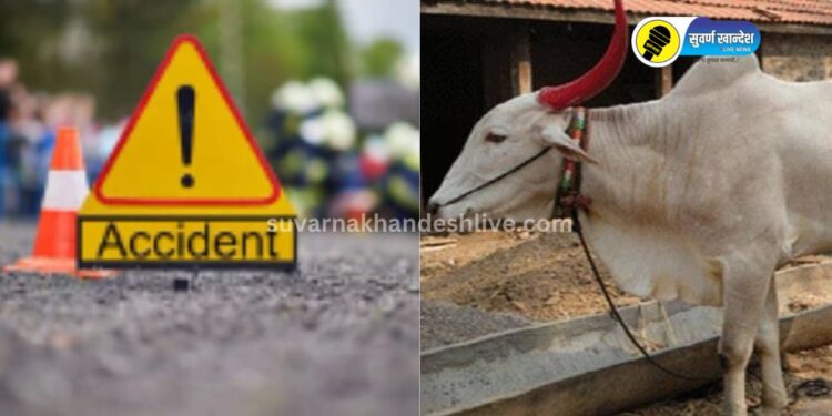 गॅस कंटेनरची बैलगाडीला जोरदार धडक, भीषण अपघातात बैलाचा मृत्यू