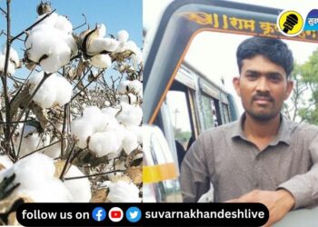 पाचोरा : कापूस उत्पादक शेतकऱ्यांची लाखो रुपयांमध्ये फसवणूक, आरोपीला गुजरातमधून अटक