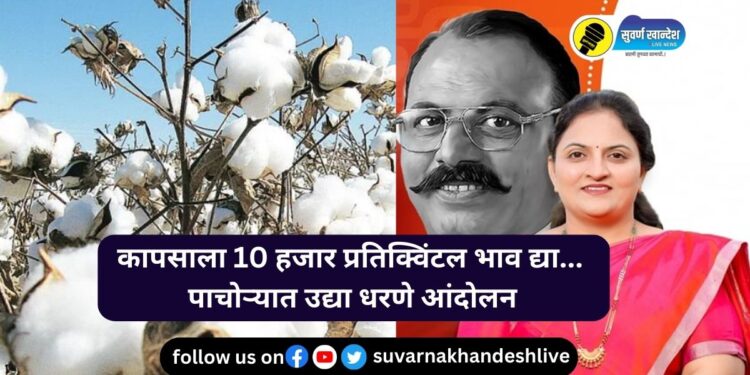 कापसाला 10 हजाराचा भाव द्या, पाचोऱ्यात विविध मागण्यांसाठी उद्या धरणे आंदोलन