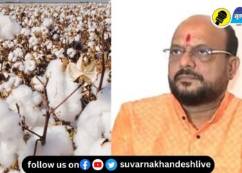 …तर आपण इथं अडकून पडलो नसतो; कापसाच्या भावावरुन मंत्री गुलाबराव पाटील काय म्हणाले?