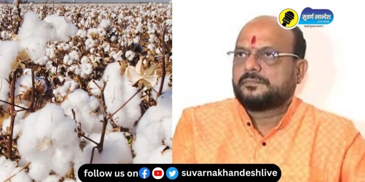 …तर आपण इथं अडकून पडलो नसतो; कापसाच्या भावावरुन मंत्री गुलाबराव पाटील काय म्हणाले?