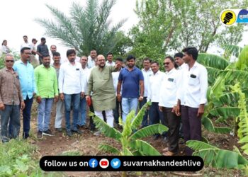 जळगाव जिल्ह्यात अवकाळीने मोठं नुकसान, पालकमंत्री गुलाबराव पाटील काय म्हणाले?