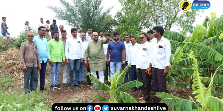 जळगाव जिल्ह्यात अवकाळीने मोठं नुकसान, पालकमंत्री गुलाबराव पाटील काय म्हणाले?
