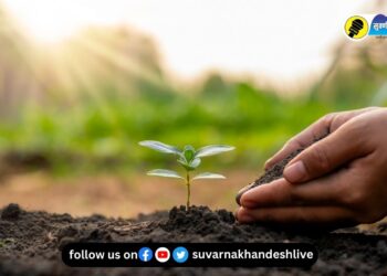 जळगाव जिल्ह्यातील शेतकऱ्यांसाठी महत्त्वाची बातमी! अडचणीचे निरसन करण्यासाठी जिल्हास्तरावर नियंत्रण कक्ष स्थापन