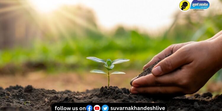 जळगाव जिल्ह्यातील शेतकऱ्यांसाठी महत्त्वाची बातमी! अडचणीचे निरसन करण्यासाठी जिल्हास्तरावर नियंत्रण कक्ष स्थापन