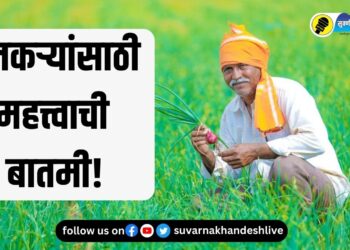 शेतकऱ्यांसाठी महत्त्वाची बातमी! स्वदेशी 5 बियाण्यांसदर्भात कृषी विभागाने दिली ‘ही’ माहिती