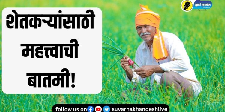 शेतकऱ्यांसाठी महत्त्वाची बातमी! स्वदेशी 5 बियाण्यांसदर्भात कृषी विभागाने दिली ‘ही’ माहिती