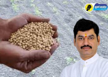 शेतकऱ्यांसाठी महत्त्वाची बातमी! बोगस बियाणे व खतांविषयक तक्रारासाठी WhatsApp नंबर