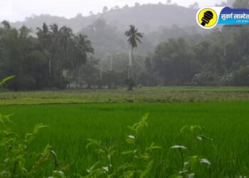 Rain Update : शेतकऱ्यांसाठी महत्वाची बातमी; ‘या’ तारखेपासून बरसणार पाऊस, बळीराजाची चिंता होणार दूर?