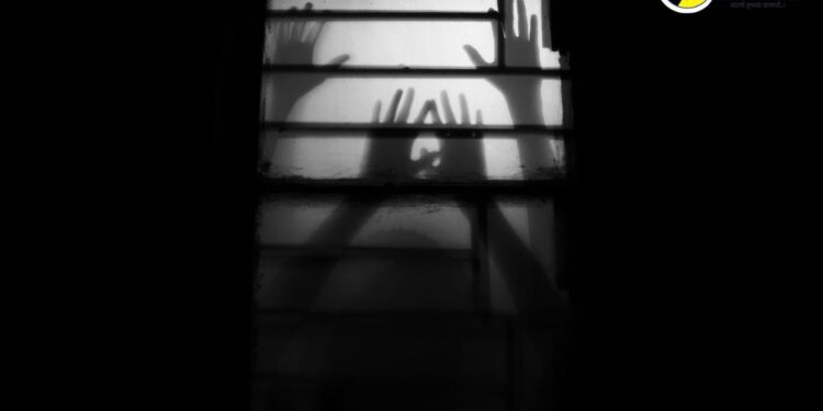 पाचोऱ्यातील धक्कादायक घटना, लैंगिक अत्याचारातून अल्पवयीन मुलगी गर्भवती, आरोपीस पोलीस कोठडी