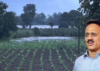 सततच्या पावसाने शेतपिकांचे नुकसान, मंत्री गिरीश महाजन यांचे प्रशासनाला महत्वाच्या सूचना