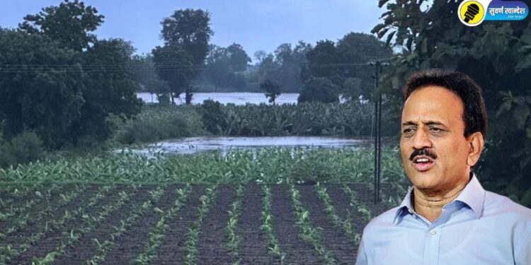 सततच्या पावसाने शेतपिकांचे नुकसान, मंत्री गिरीश महाजन यांचे प्रशासनाला महत्वाच्या सूचना