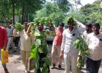 डोक्यावर घेतले केळीचे घड अन् अंगाला बांधली पाने; जळगावात स्वाभिमानी शेतकरी संघटनेचे अनोखं आंदोलन
