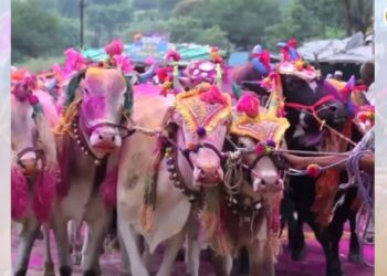 वाढती महागाई, लम्पीचा प्रार्दुभाव व दुष्काळाच्या सावटाखाली यंदाचा पोळा