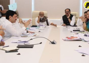 मंत्रालयातील बैठकीत मंत्री तसेच संबंधित विभागाचे पदाधिकारी