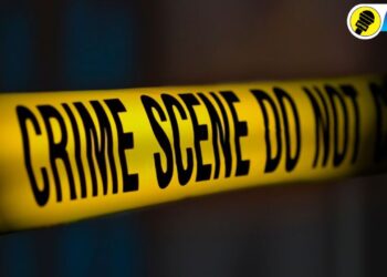 पत्नीने केला पतीवर विळ्याने वार, सातगाव डोंगरी येथील धक्कादायक घटना, गुन्हा दाखल