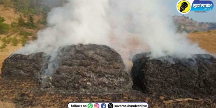 तीन मोरबट्टीच्या गंजीला अज्ञाताने लावली आग, अक्कलकुवा तालुक्यातील इराईबारीपाडा येथील घटना