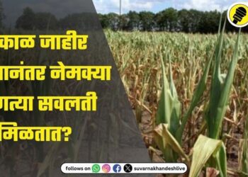 दुष्काळ जाहीर झाल्यानंतर नेमक्या कोणत्या सवलती मिळतात? वाचा, महत्वाची माहिती