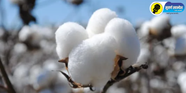 फाईल फोटो