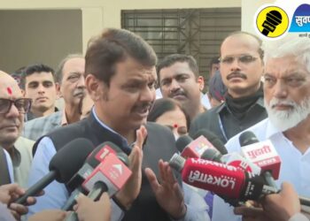 “उद्धवजींच्या डोक्यावर परिणाम झाला आहे…”, देवेंद्र फडणवीसांचे ठाकरेंना प्रत्युत्तर, काय म्हणाले?