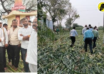 शेतकऱ्यांचे अवकाळीने पावसाने नुकसान, पारोळा तालुक्यातील मोंढाळे येथे जिल्हाधिकाऱ्यांनी केली पाहणी