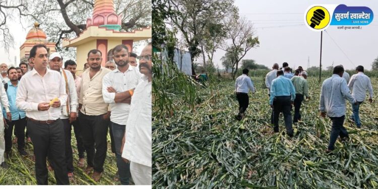 शेतकऱ्यांचे अवकाळीने पावसाने नुकसान, पारोळा तालुक्यातील मोंढाळे येथे जिल्हाधिकाऱ्यांनी केली पाहणी