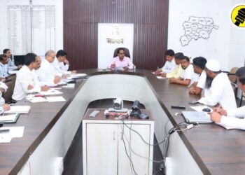 केळी पीक विमा अपील पात्र प्रस्तावावर कार्यवाही करण्याचे जिल्हाधिकारी यांचे निर्देश