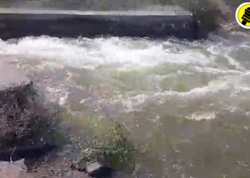 हिवरा धरणाचा कॅनल फुटल्याने लाखो लिटर पाण्याची नासाडी, काँग्रेसने केली कारवाईची मागणी