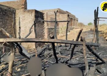 मोठी बातमी! अमळनेर तालुक्यातील झाडी येथे भीषण आगीत 19 शेळ्यांचा जळून मृत्यू, नेमकं काय घडलं?