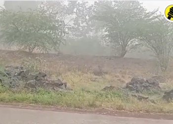 पाचोरा तालुक्यासह जळगाव ग्रामीणमध्ये जोरदार पावसाची हजेरी, उकाड्यापासून दिलासा