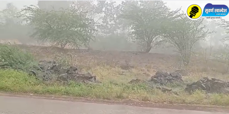 पाचोरा तालुक्यासह जळगाव ग्रामीणमध्ये जोरदार पावसाची हजेरी, उकाड्यापासून दिलासा