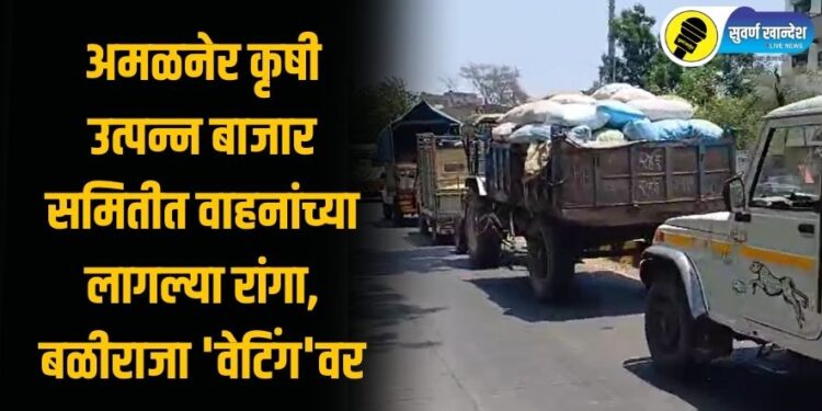 Video : अमळनेर कृषी उत्पन्न बाजार समितीत वाहनांच्या लागल्या रांगा, बळीराजा ‘वेटिंग’वर, पाहा व्हिडिओ