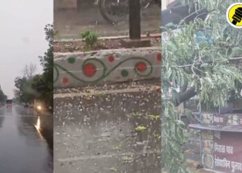 अमळनेर शहरात वादळी पावसासह गारपीठ, अवकाळीमुळे झाडे उन्मळून पडली