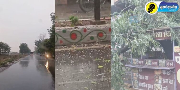 अमळनेर शहरात वादळी पावसासह गारपीठ, अवकाळीमुळे झाडे उन्मळून पडली