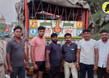 जनावरांना कत्तलीसाठी घेऊन जाणारा पिकअप पोलिसांनी पकडला, पारोळ्यात नेमकं काय घडलं?