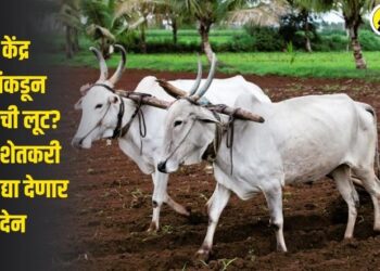 कृषी केंद्र चालकांकडून शेतकऱ्यांची लूट? महाराष्ट्र शेतकरी संघटना उद्या देणार निवदेन