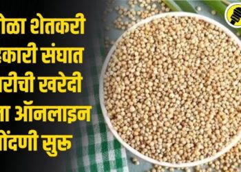 पारोळा शेतकरी सहकारी संघात ज्वारीची खरेदी करता ऑनलाइन नोंदणी सुरू, काय आहे संपूर्ण बातमी?