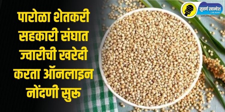 पारोळा शेतकरी सहकारी संघात ज्वारीची खरेदी करता ऑनलाइन नोंदणी सुरू, काय आहे संपूर्ण बातमी?