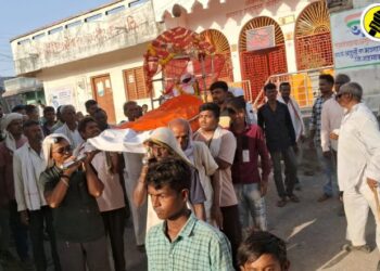 भडगाव तालुक्यातील अंतुर्लीत माकडाचा मृत्यू, गावातील नागरिकांनी काढली अंत्ययात्रा