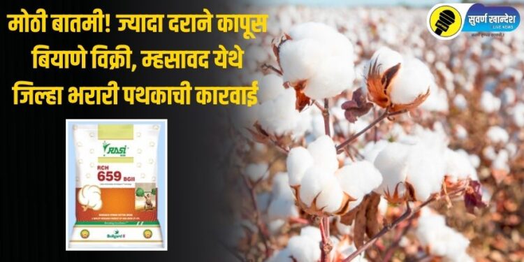 मोठी बातमी! ज्यादा दराने कापूस बियाणे विक्री, म्हसावद येथे जिल्हा भरारी पथकाची धडक कारवाई