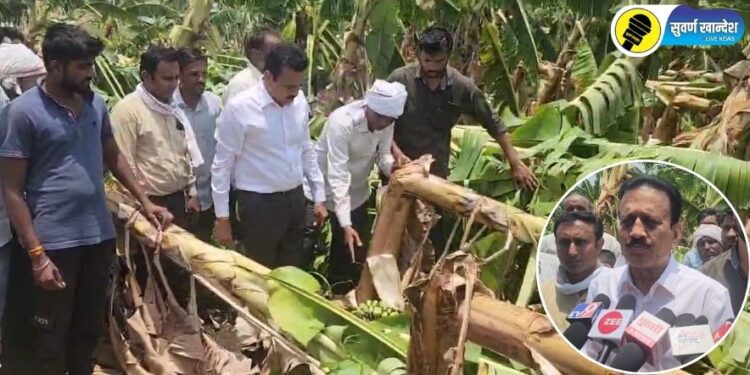 वादळीवाऱ्यामुळे केळी बागा उद्धवस्त, मंत्री गिरीश महाजन यांनी केली नुकसानग्रस्त भागाची पाहणी, प्रशासनाला दिले महत्वाचे आदेश