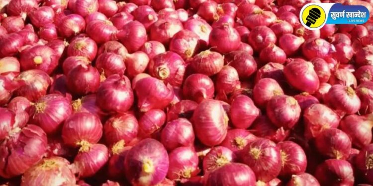 मोठी बातमी! केंद्र सरकारने कांद्यावरील निर्यातबंदी उठवली, काय आहे नेमका निर्णय?