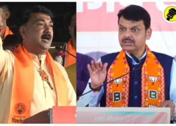 “त्यांचं तिकीट कापून आम्ही एकप्रकारे त्यांना वाचवलं”, उन्मेश पाटलांवर देवेंद्र फडवणीस पाचोऱ्यात पहिल्यांदाच बोलले