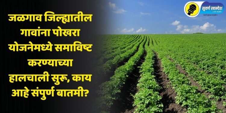 जळगाव जिल्ह्यातील गावांना पोखरा योजनेमध्ये समाविष्ट करण्याच्या हालचाली सुरू, काय आहे संपुर्ण बातमी?