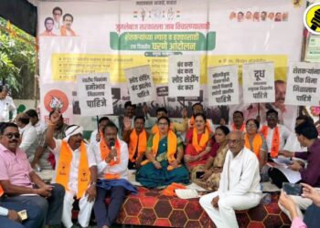 सरकारविरोधात आंदोलन करताना महाविकास आघाडीतील पदाधिकारी