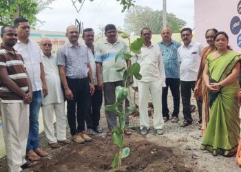 पिंपळकोठे येथे वटपौर्णिमेनिमित्त अनोखा उपक्रम, गावात वड-पिंपळाच्या वृक्षांची लागवड