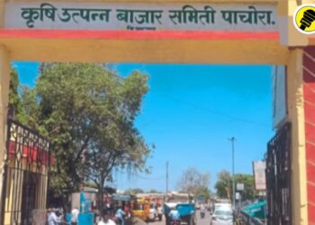 पाचोरा : कृषि उत्पन्न बाजार समिती तर्फे शेतकऱ्यांसाठी ‘या’ तारखेपासून एक रुपयात पिक विमा भरण्यास होणार सुरूवात