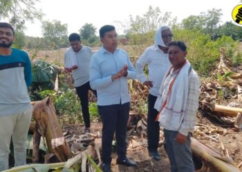 पाचोरा : वादळी वाऱ्यासह झालेल्या पावसामुळे शेतकऱ्यांचे नुकसान, अमोल शिंदे यांनी बांधावर जाऊन केली पाहणी