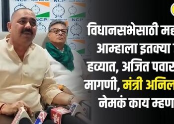 विधानसभेसाठी महायुतीत आम्हाला इतक्या जागा हव्यात, अजित पवार गटाची मागणी, मंत्री अनिल पाटील नेमकं काय म्हणाले?