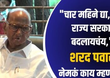 “चार महिने द्या, मला राज्य सरकार बदलायचंय,” शरद पवार नेमकं काय म्हणाले?